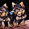 Free-teacup-yorkshire-terrier-puppies